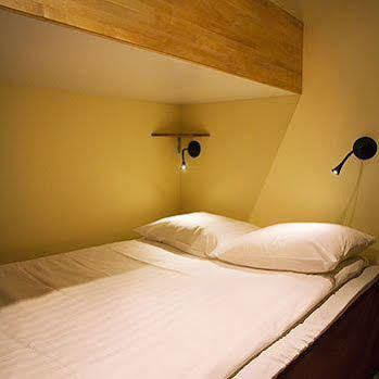 Hotel Rex Petit